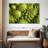 Fresh Romanesco Broccoli-1432844822