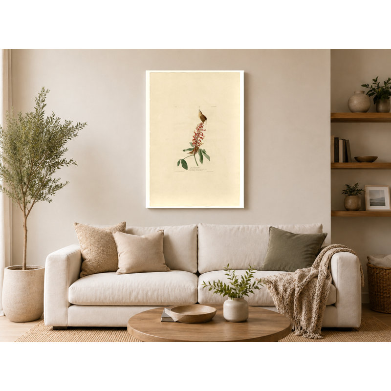 Great Carolina Wren (1827) - Portrait, art mural sur toile, 14" W x 11" H
