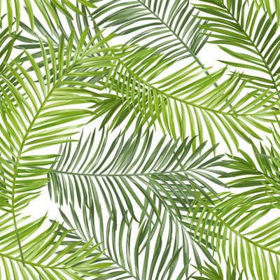 Seamless Pattern. Tropical Palm Leaves Background. Vector Background by AnnaSivak - Wrapped Canvas Print