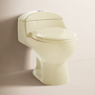 Château 1-Piece Dual-Flush Toilet
