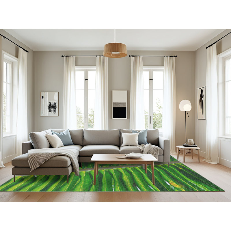 Tapis vert, Rectangle 8 pi x 10 pi