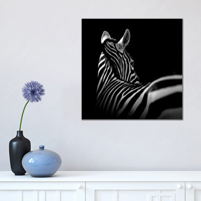 Zebra In Black And White I by Lukas Holas - Wrapped Canvas Print