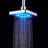 Full/Standard Adjustable Shower Head-59543451