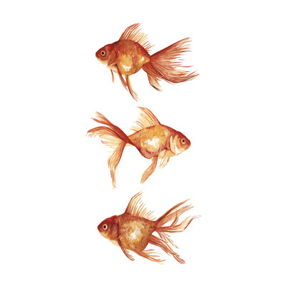 Poisson rouge ornemental III