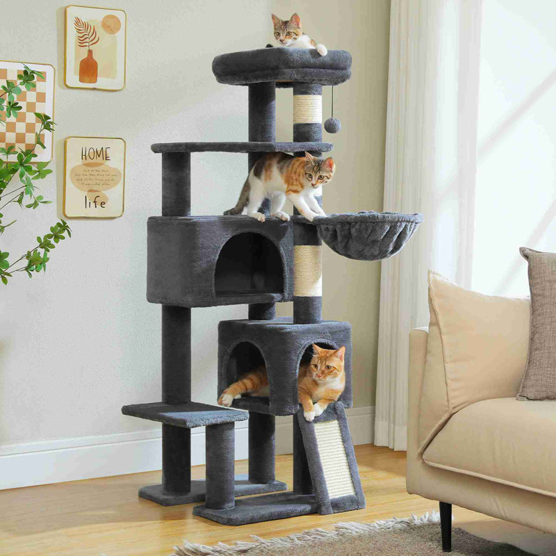 Arbre à chat, Gris foncé