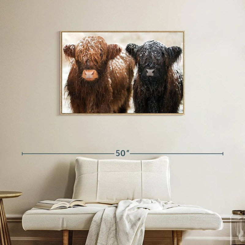 Poilu Highland Cows, Cadre flottant en bois naturel, 37 po x 25 po