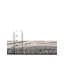 Tapis Equiferus Teonni-491947513-491947393