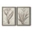 Sépia, plantes exotiques, toile encadrée VIIP Premium - prête à être accrochée-1397594312-1397594313