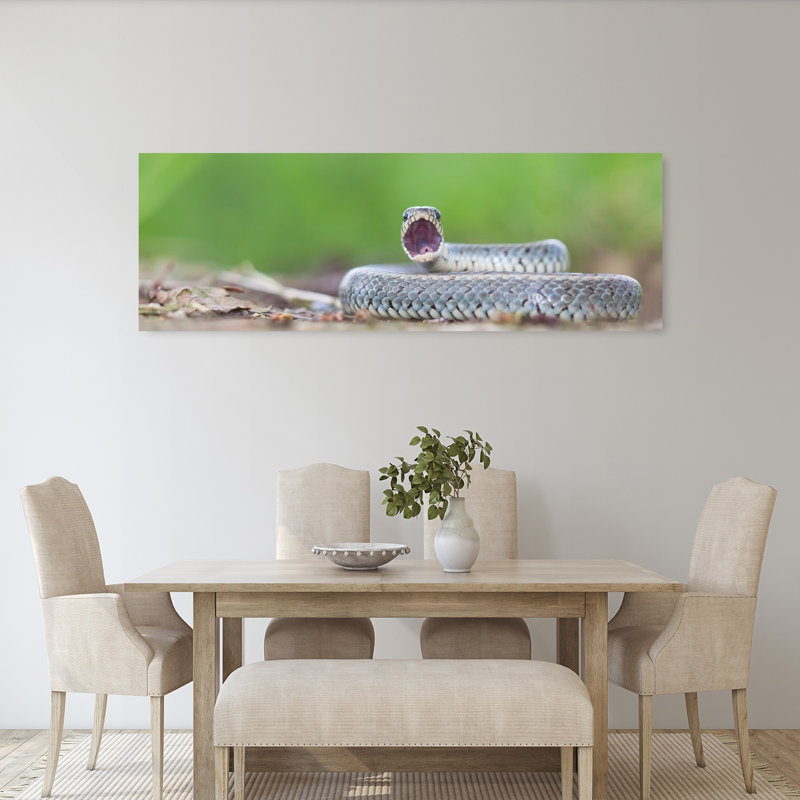 Fierce Snake Display 1 Piece Wrapped Canvas Panoramic Wall Art, 152.4 cm H x 50.8 cm W