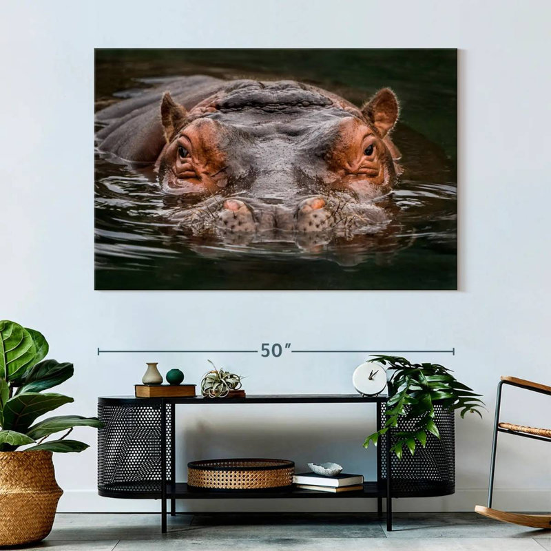 Brampt Submerged Hippo, 34" H x 51" W