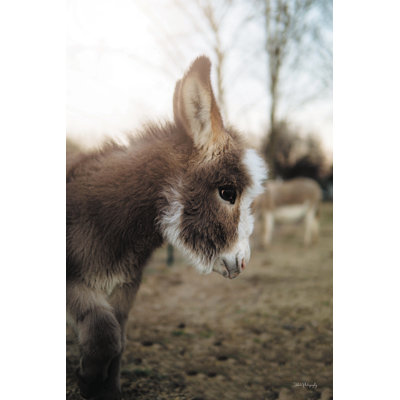 Lil Abner par Dakota Diener