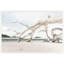 Drift Wood Composition Print