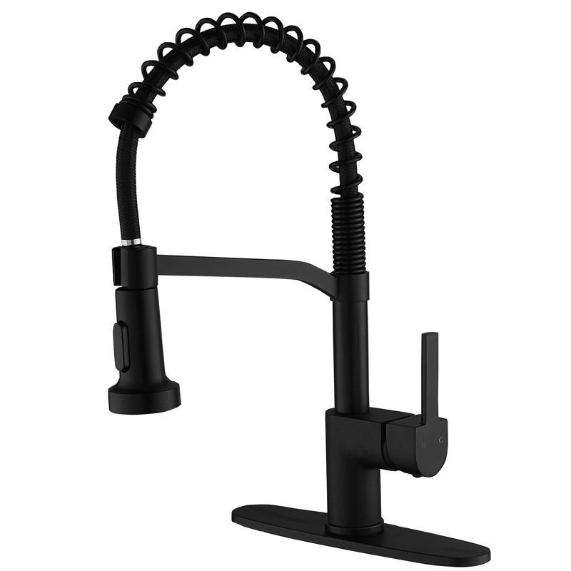Robinet de cuisine rétractable à poignée simple avec accessoires