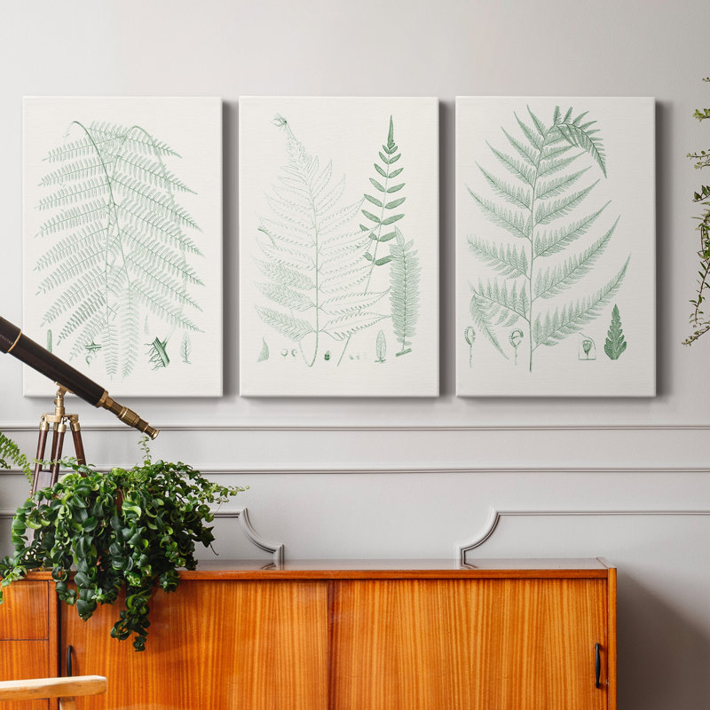 Verdure Ferns I - ensemble de 3 peintures sur toile tendue, H 12 po x l 24 po x P 1 po
