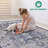 Doormat Area Rug  - 2' X 3' Traditional-1355063731