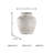 Ashly Vase-25623861