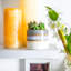 Nicola Spring - Reactive Glaze Plant Pot-63880881-63880887