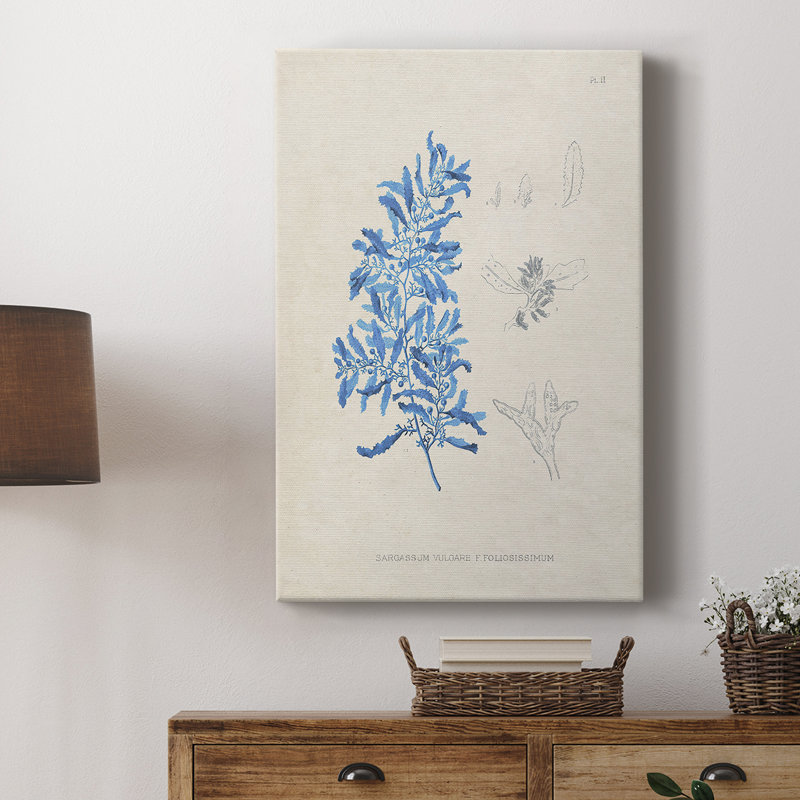 Blue Marine Algae VI - Gallery Cavas