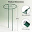Cage à plantes robuste en acier antirouille 14 x 32 po - Paquet de 6 - Support polyvalent pour jardin de fleurs et de légumes