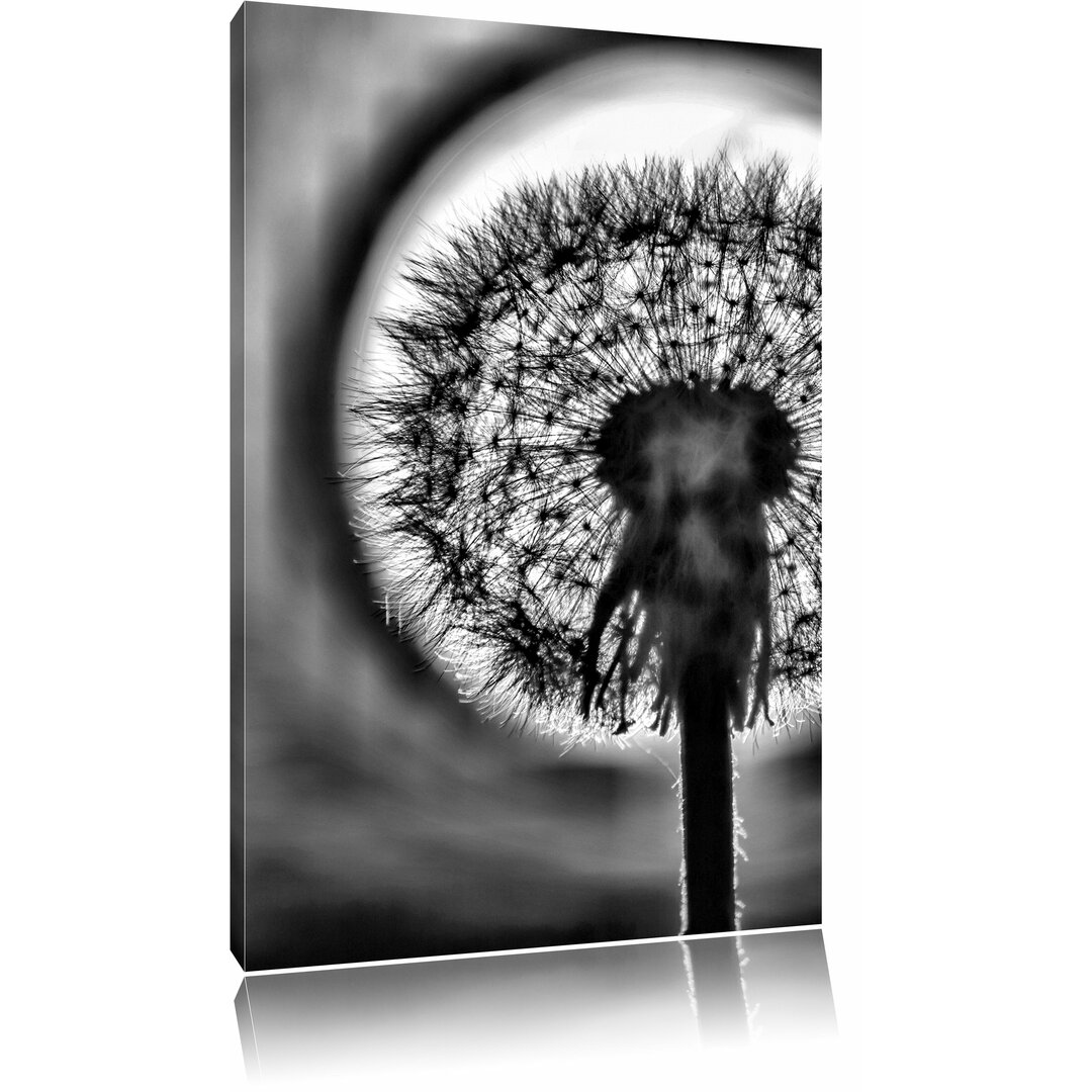 Leinwandbild Pusteblume im Abendlicht in Monochrom