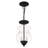 Analycia 2 - Light Matte Black Single Pendant