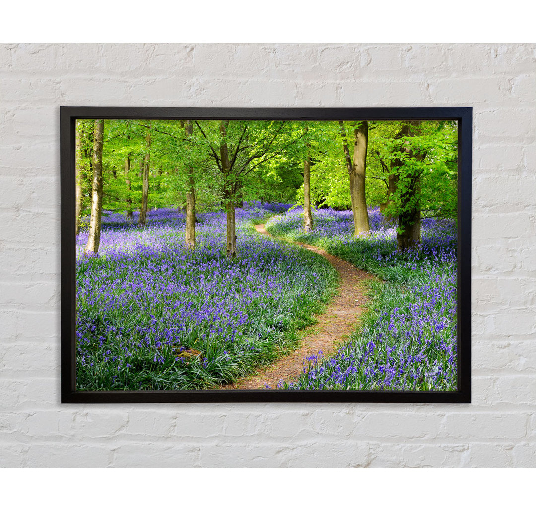 Walk Through The Bluebell Path - Einzelner Bilderrahmen Kunstdrucke auf Leinwand