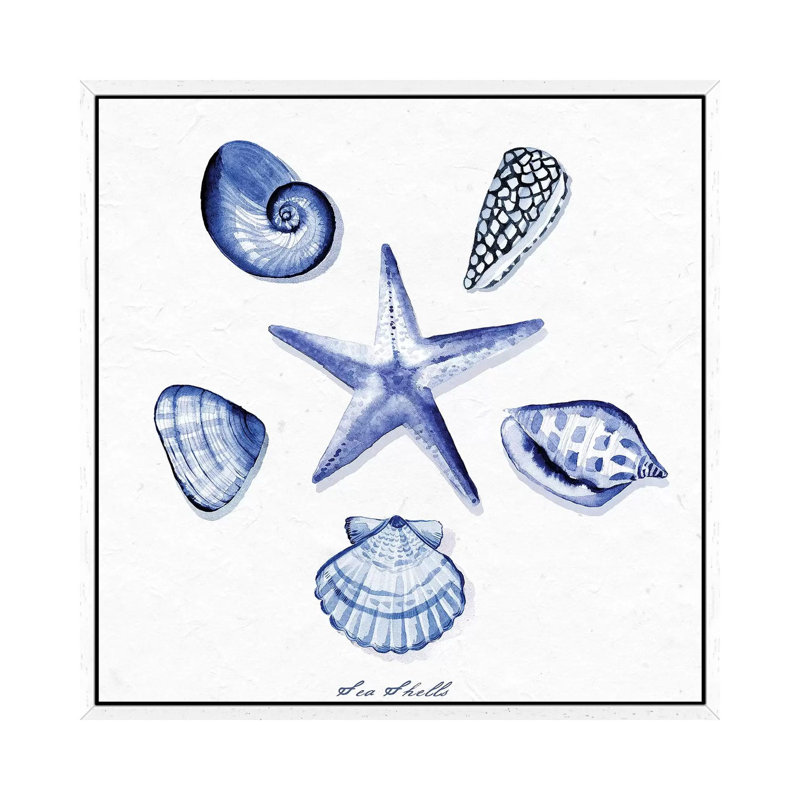 Shell Collection VI by Stephanie Ryan - Painting on Canvas, 45.72cm H x 45.72cm W x 3.81cm D, White Floater Framed