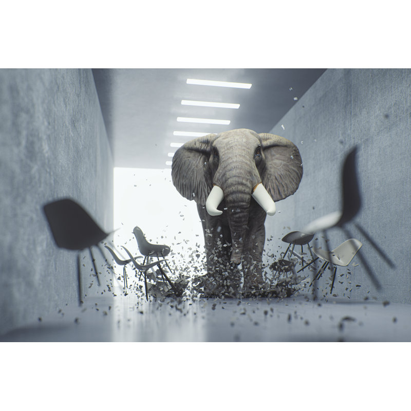 Angry Elephant in The Office par Gremlin, H 12 po x l 18 po