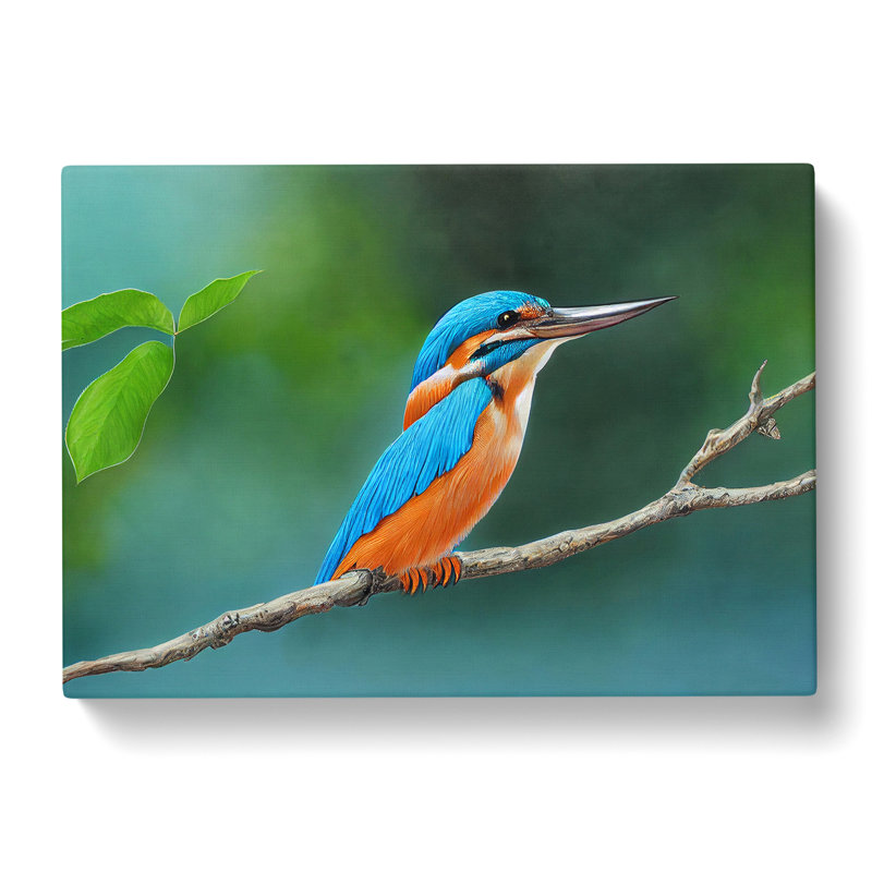 Evocative Kingfisher Bird - Wrapped Canvas