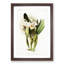 Magnolia Flowers Illustration Tab.93 by Frederick Sander - Picture Frame Art Print-55760627-55760629