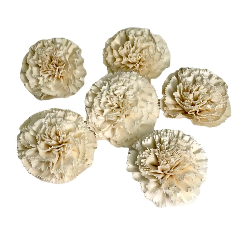 Carnation Arrangement