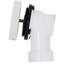 Pop-up l 4 po Oui-101466704