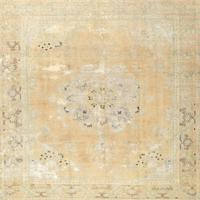 Barin Oriental Indoor Rug