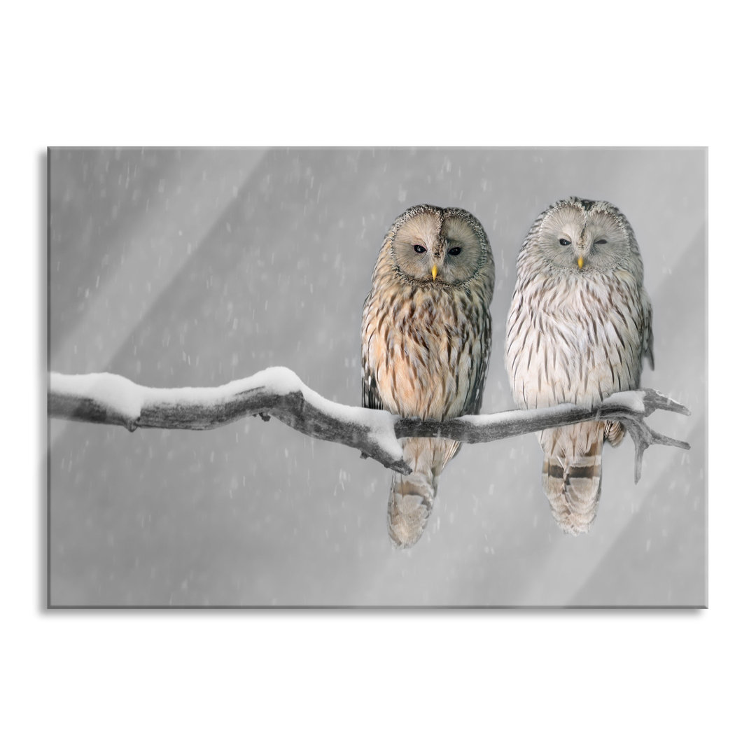 Ungerahmtes Foto auf Glas "Two Owls in a Winter Landscape"