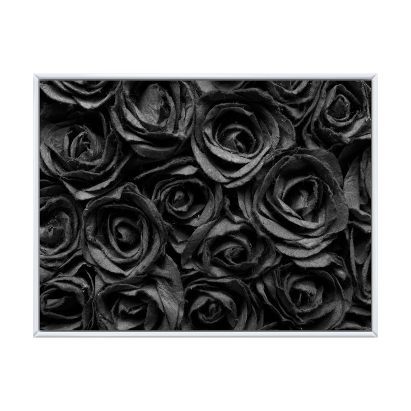 Rose, reproduction d'art sur toile, art moderne, H 16 po x l 32 po x P 1 po, Cadre flottant blanc