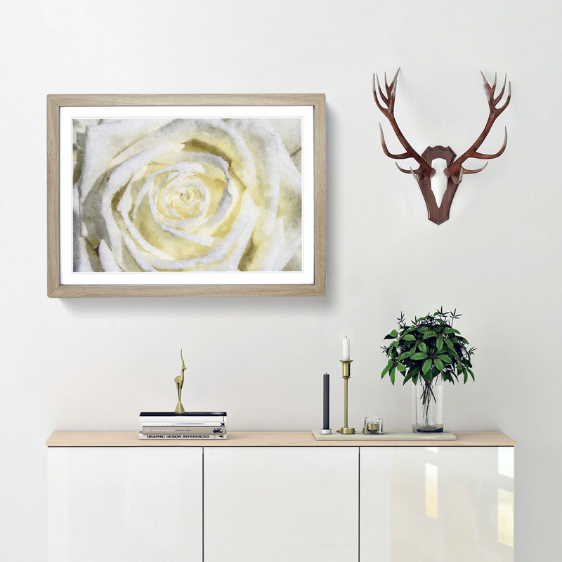 Crisp White Rose - Picture Frame Graphic Art Print, 33cm H x 45cm W x 2cm D, Oak Framed