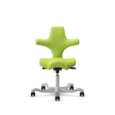 HÅG Capisco Adjustable Standard Height Chair