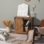 Buffet décoratif 1 porte Anairis-1511485762