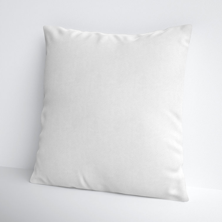 Alwyn Home Depew Pillow Insert & Reviews