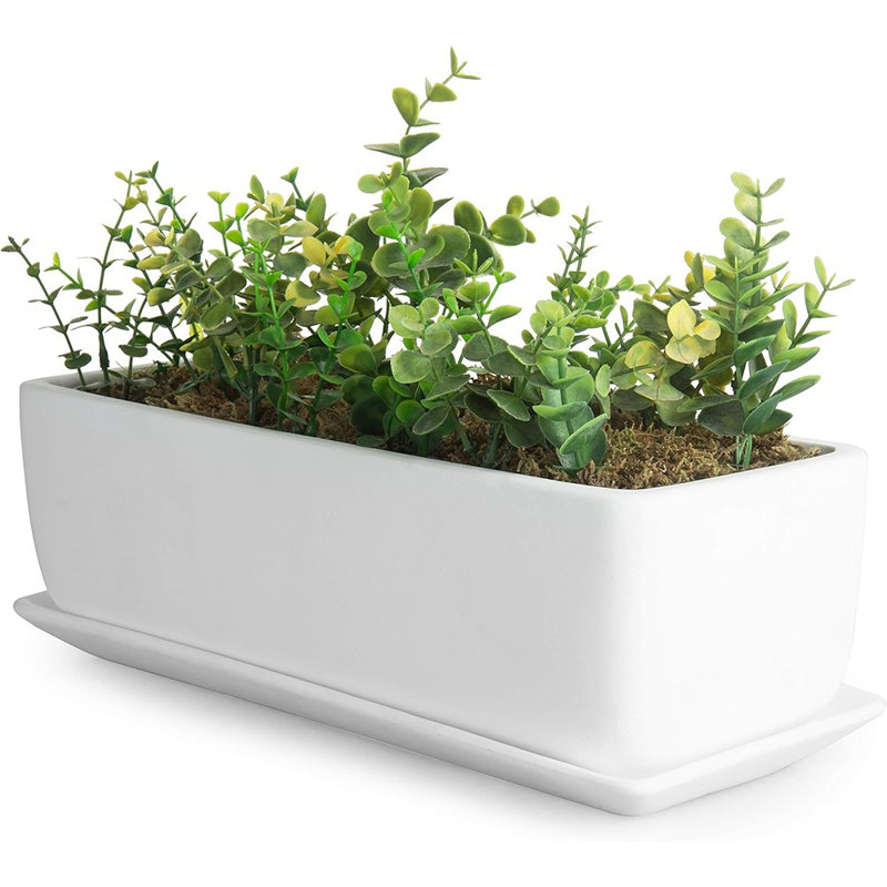 Pot d'intérieur en céramique, plante grasse rectangulaire, H 5 po x l 15 po x P 6 po, Blanc