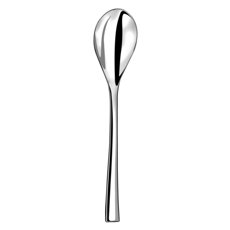 Stainless Steel Dinner Spoon