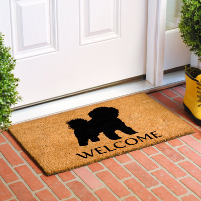 Non-Slip Indoor Doormat