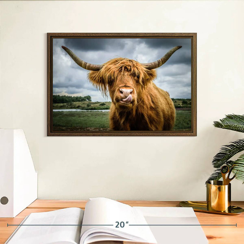 Silly Highland Cow, 13 po x 9 po, Cadre flottant noyer