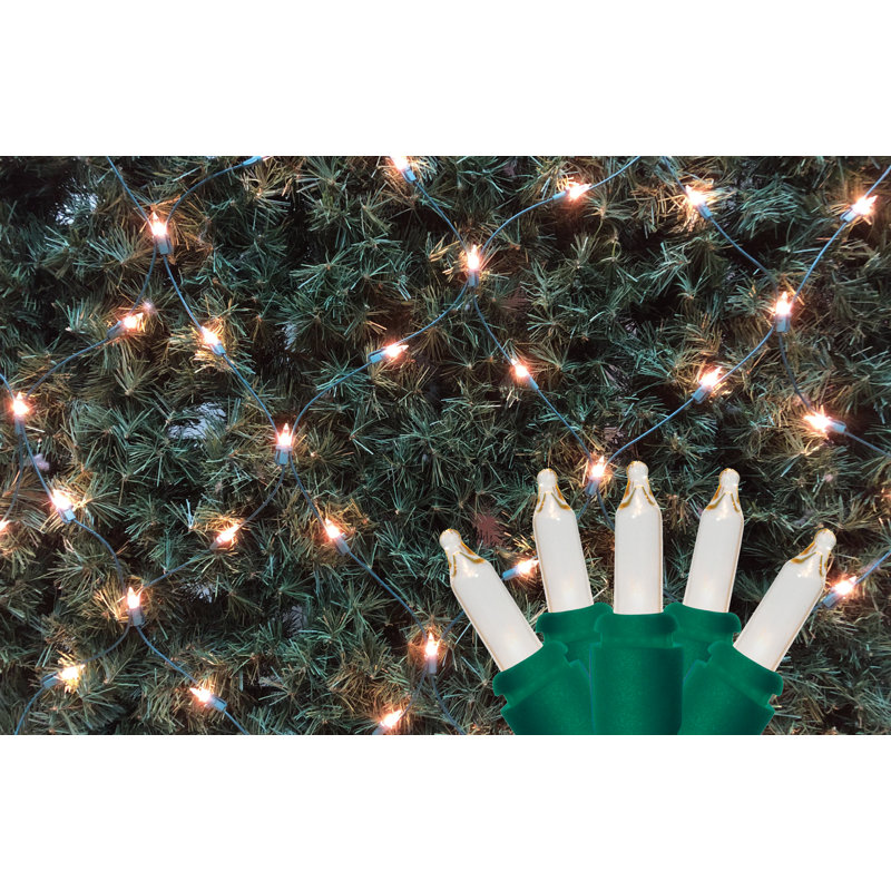 Mini lumières de Noël style filet 4 pi x 6 pi - Fil vert