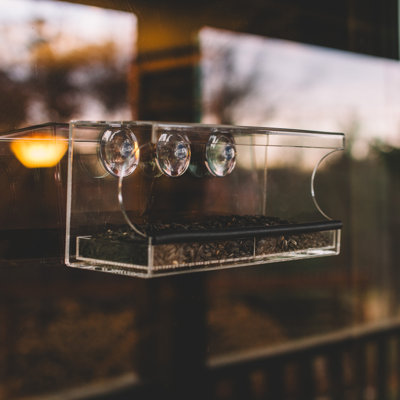 Shenna Window Tray Bird Feeder