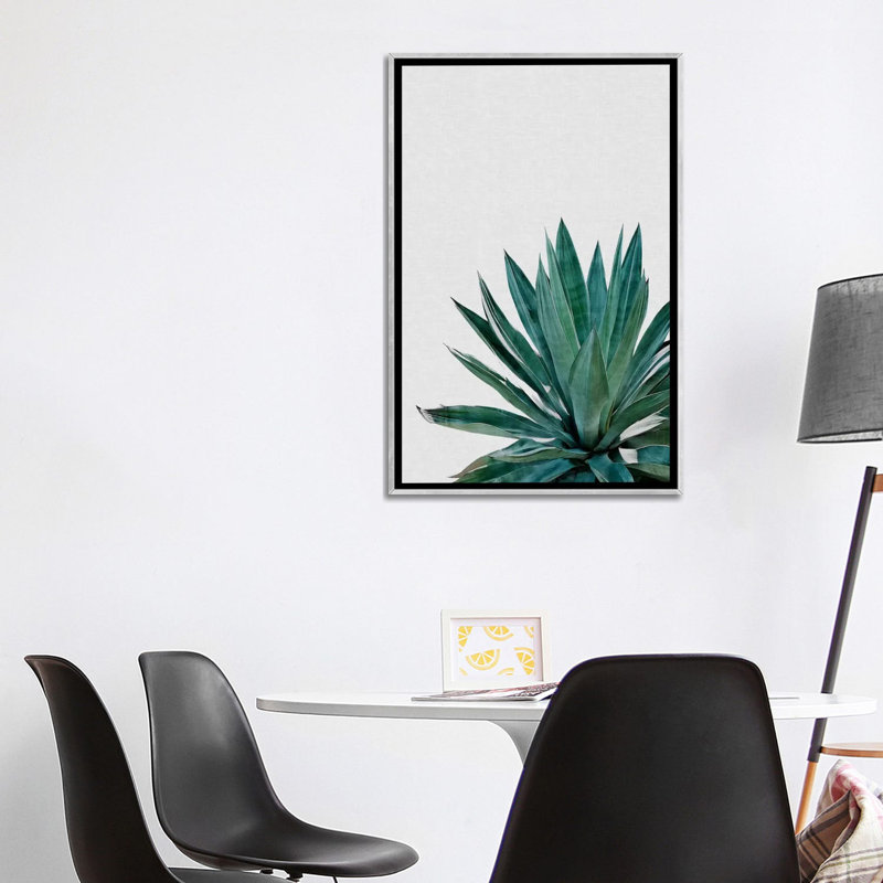 « agave cactus »-impression photographie, H 48 po x l 32 po x P 1,5 po, Toile avec cadre argenté