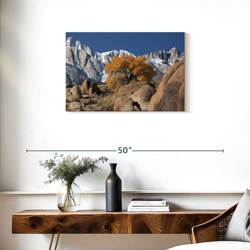 L'arbre solitaire d'Alvord dans les Alabama Hills, H 20 po x l 30 po