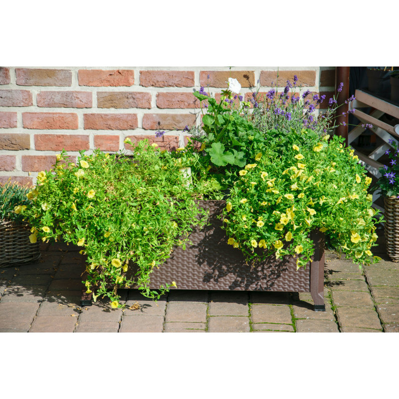 Metal Elevated Planter