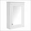 W H Medicine Cabinet Mirror
