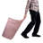 Plastic Rolling Laundry Hamper with Handles-73312125